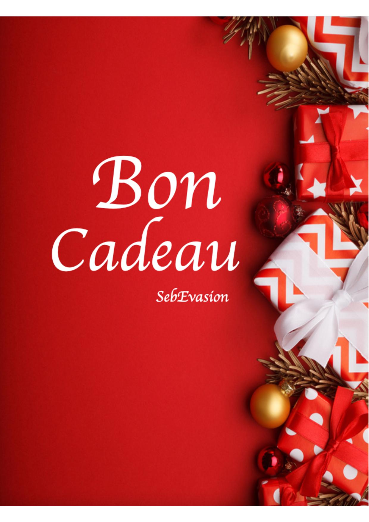 Bon cadeau = 30 / 40 / 50  100 € - SebEvasion - Agence de voyages