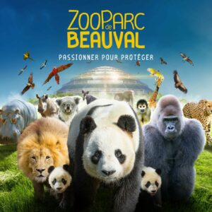 Zoo de Beauval // 1 juillet 2023 = 60€ – 54€ (3 -10 ans)