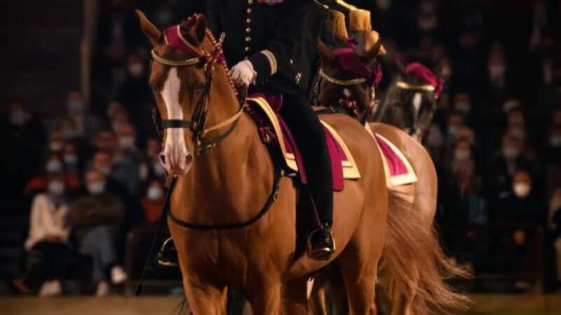 Saumur Incontournable