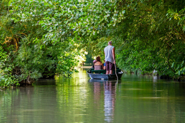 Lire la suite à propos de l’article L’essentiel du Marais Poitevin