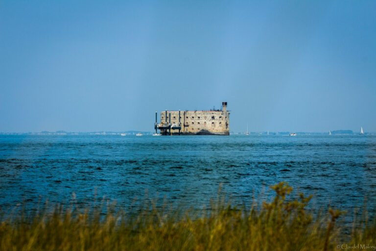 Lire la suite à propos de l’article Fouras-les-bains