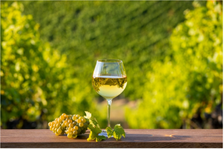 Lire la suite à propos de l’article Les vendanges au pays du bon vin à la caverne sculptée