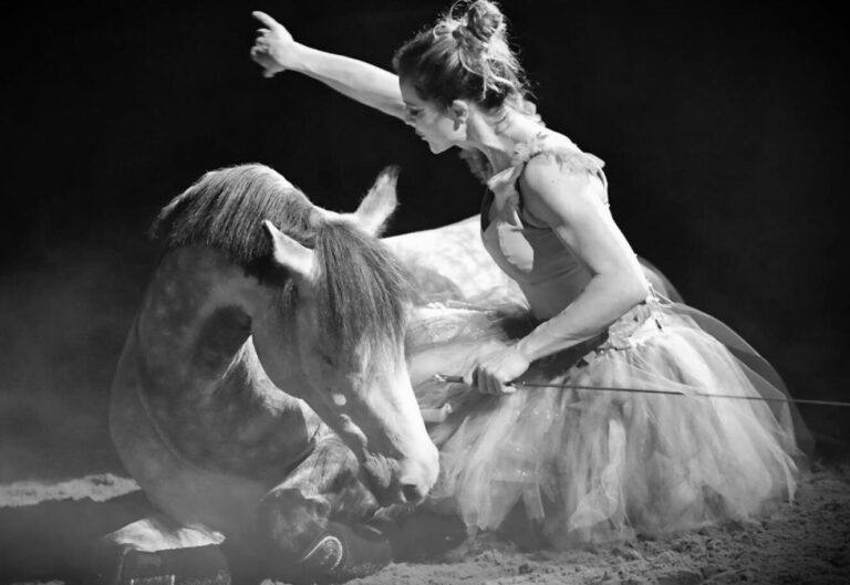 Lire la suite à propos de l’article Cabaret Equestre Zagal