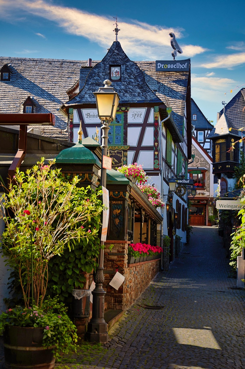 Lire la suite à propos de l’article Rhin romantique et la Moselle