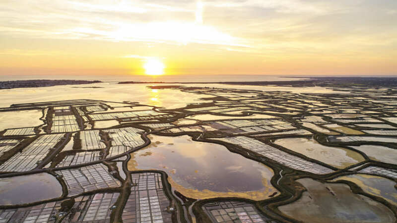 La turballe et ses marais salants