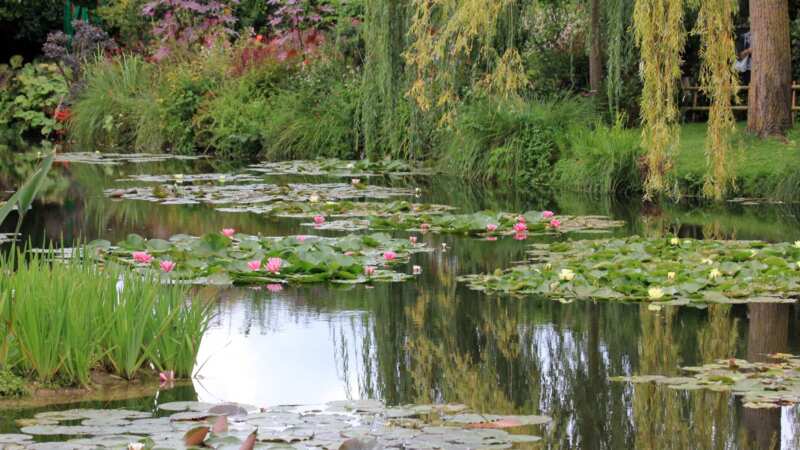 Découverte de Giverny