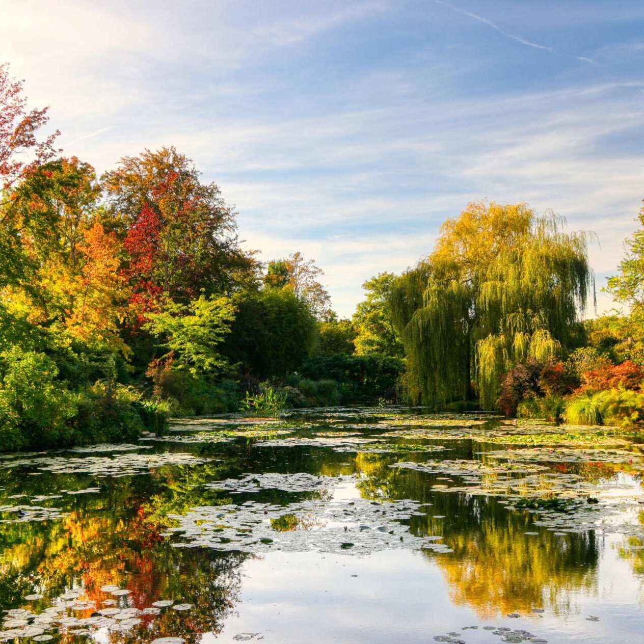 Lire la suite à propos de l’article Découverte de Giverny