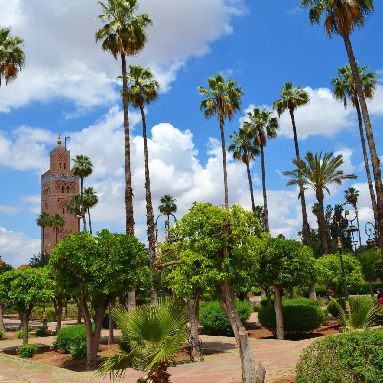 Lire la suite à propos de l’article Villes impériales et Sud du Maroc